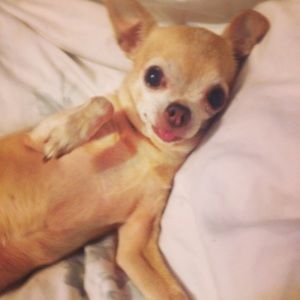 Meet your Posher, Cassandra